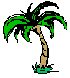 palmtree.gif (1501 bytes)