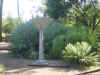 Peckerwood Garden10-2003 016.jpg (160377 bytes)